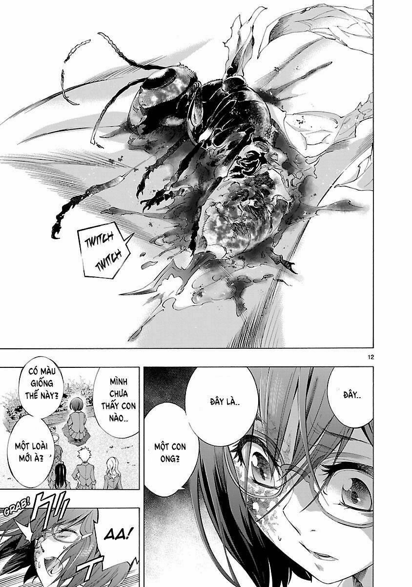 Trang 12