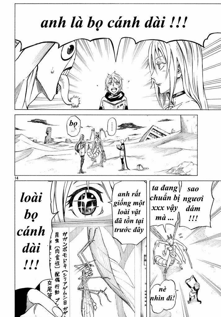 Trang 14