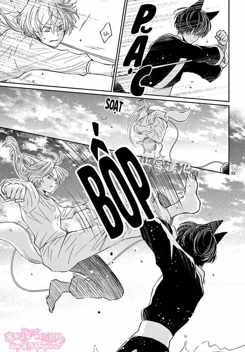 Trang 23