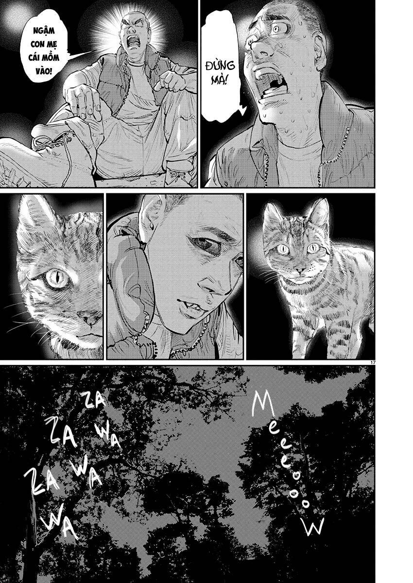 Trang 17