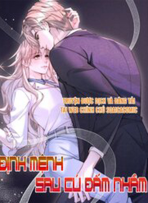 Định Mệnh Sau Cú Đấm Nhầm