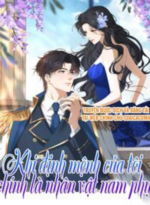 Khi Định Mệnh Của Tôi Chính Là Nhân Vật Nam Phụ