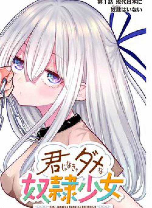 Kimi janakya Dame na Dorei Shoujo