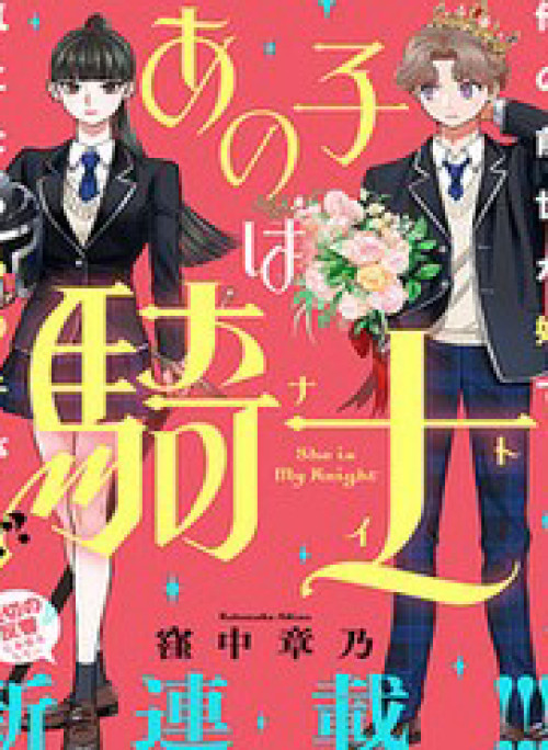 Nàng Ấy Là Kỵ Sĩ Của Tôi