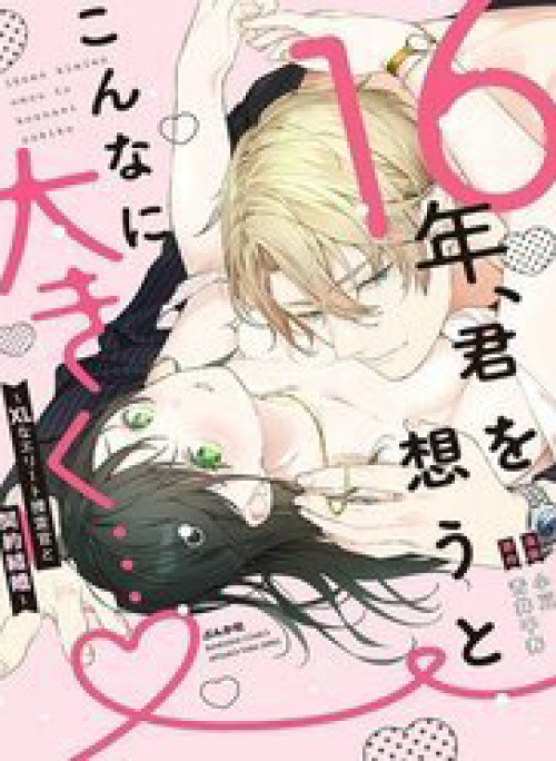 16-Nen, Kimi Wo Omou To Konna Ni Ookiku... - Xl Na Elite Sousakan To Keiyaku Kekkon