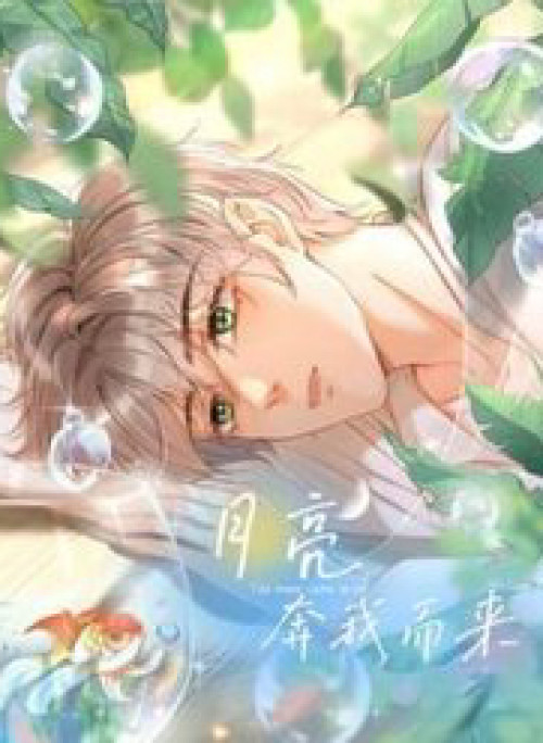 Ánh Trăng Vì Tôi Mà Đến