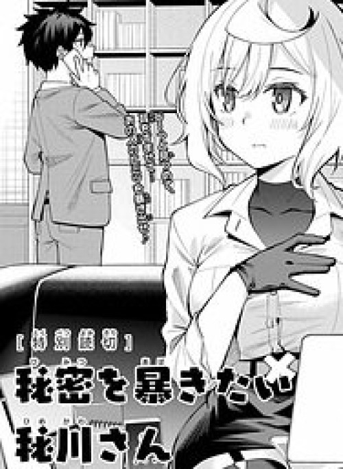 Himitsu Wo Abakitai Himekawa-San