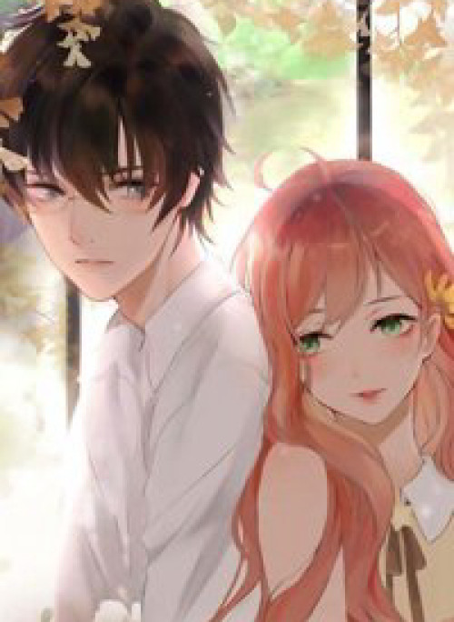 Không Phụ Lòng Người