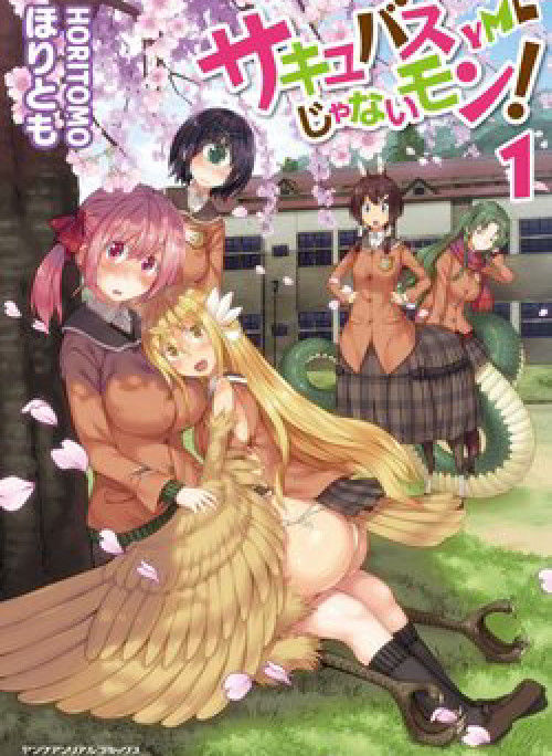 Tôi không phải là Succubus!