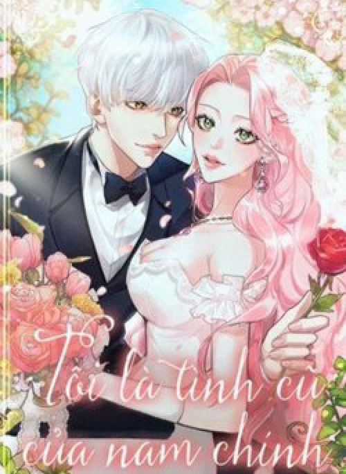 Tôi Là Tình Cũ Của Nam Chính