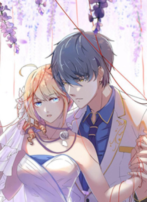 Tổng Tài ! Đừng Trả Hàng Nha !