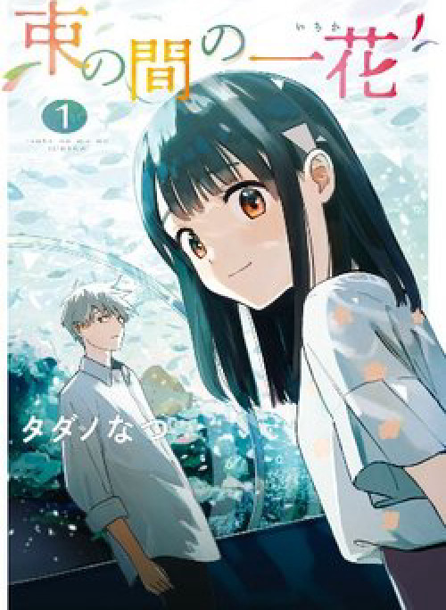 Tsuka no Ma no Ichika