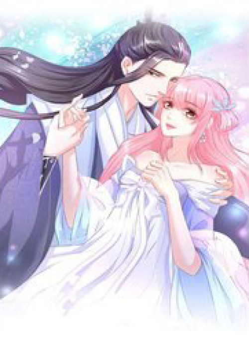 Báo Cáo Vương Gia, Vương Phi Là Một Con Mèo