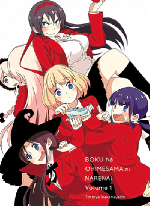 Boku Wa Ohime-Sama Ni Narenai