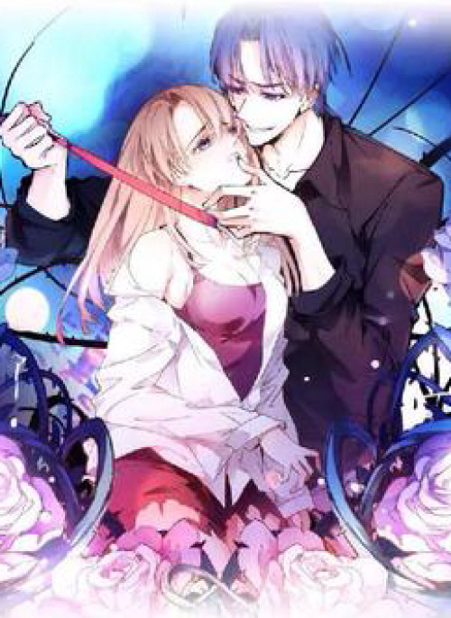 Hoa Hồng Trên Gai