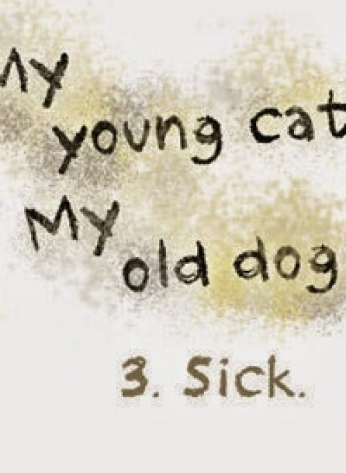 Mèo Con và Chú Chó Già Của Tôi