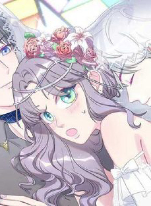 Ứng Cử Viên Hôn Phu Của Ta