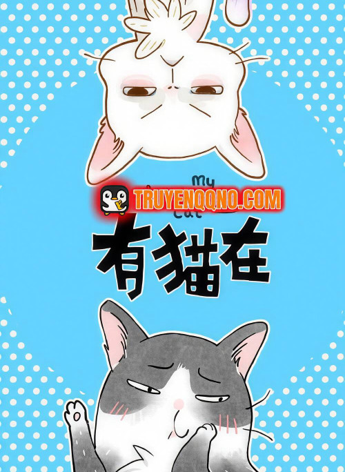 Ở Đây Có Mèo